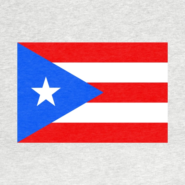 Puerto Rico Flag by Bravuramedia